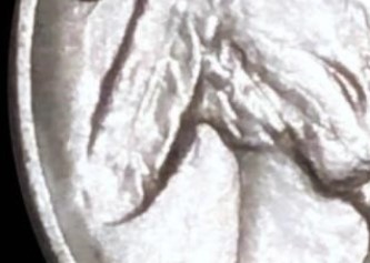 2-Feather-Buffalo-Nickels